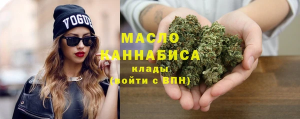 гашик Новозыбков