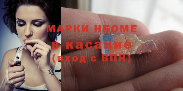 гашик Новозыбков