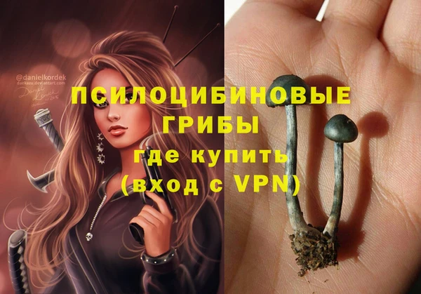 apvp Новодвинск
