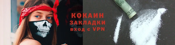 гашик Новозыбков