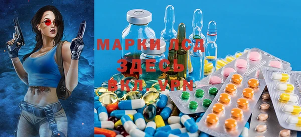 PSILOCYBIN Нея