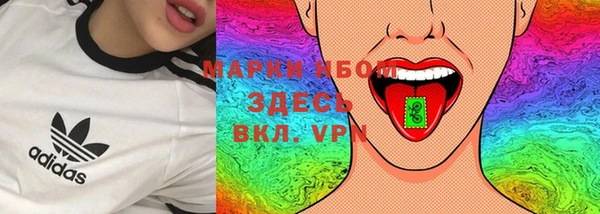 хмурый Нефтекумск