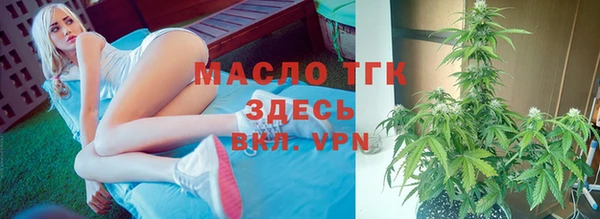 гашик Новозыбков