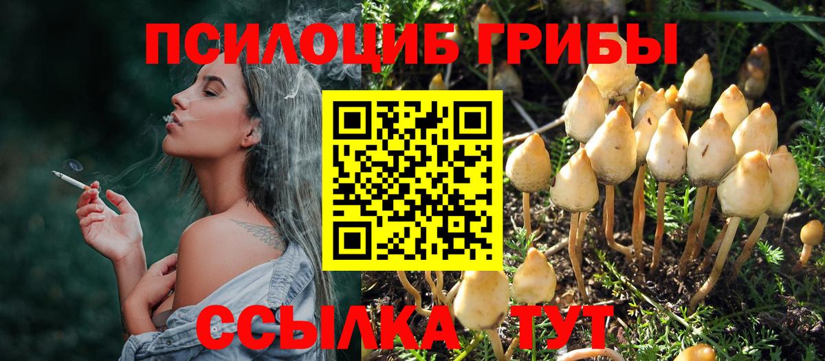 Галлюциногенные грибы Psilocybe  Галлюциногенные грибы ЛСД  Вход с VPN  Унеча 